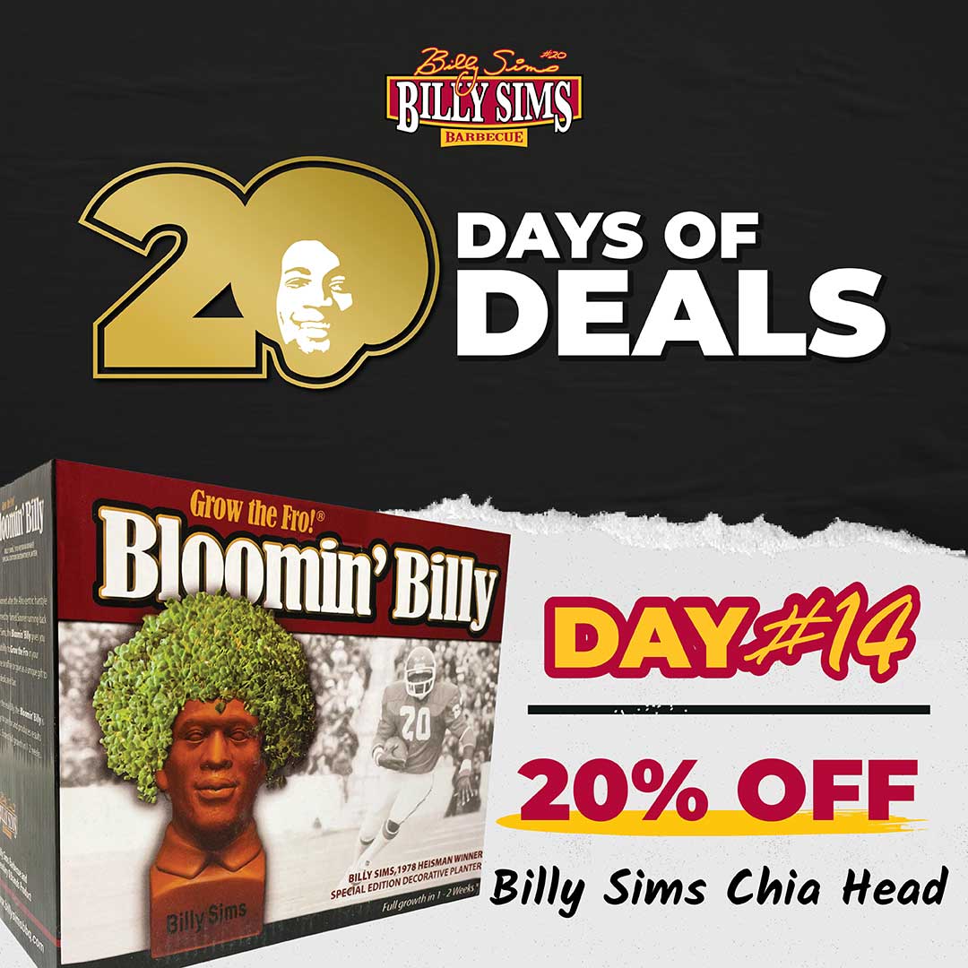 20% OFF Billy Sims Chai Head